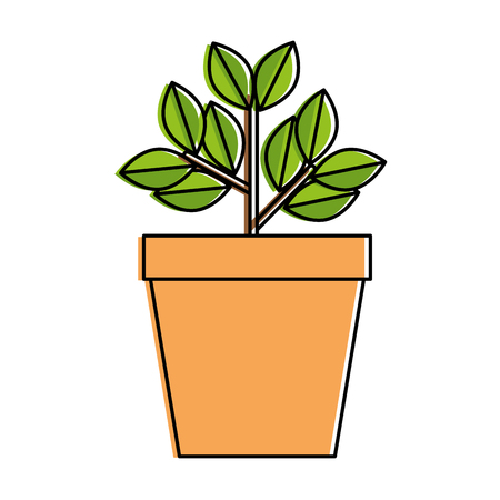 Types of Grow Lights: Finding the Right Fit