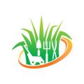Beginner’s Guide to Organic Gardening: No Pesticides, No Problem