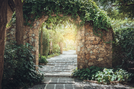 Creating a Drought-Tolerant Rock Garden for the Southwestern United States