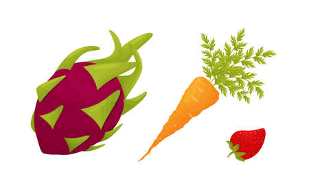 Lifecycle and Identification of Common Vegetable Garden Pests
