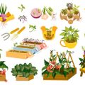 Maximizing Curb Appeal with Seasonal Container Gardening