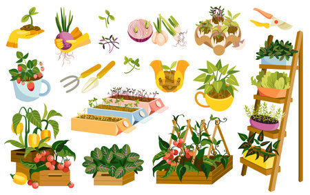 Maximizing Curb Appeal with Seasonal Container Gardening
