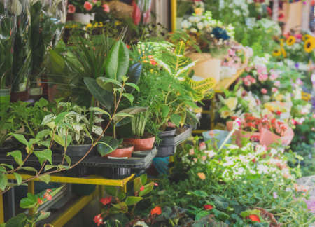 Understanding Organic Pest Control Methods That Actually Work