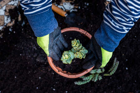 Spring Herbs Guide: What to Plant, When to Harvest, and How to Use Them