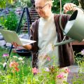 Organic Gardening for Beginners: Tools, Tips, and Techniques