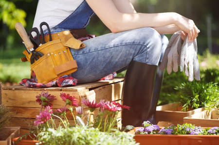 June Gardening Checklist: Summer Prep and Watering Tips